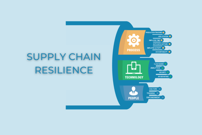 Global Supply Chain Resilience Initiative