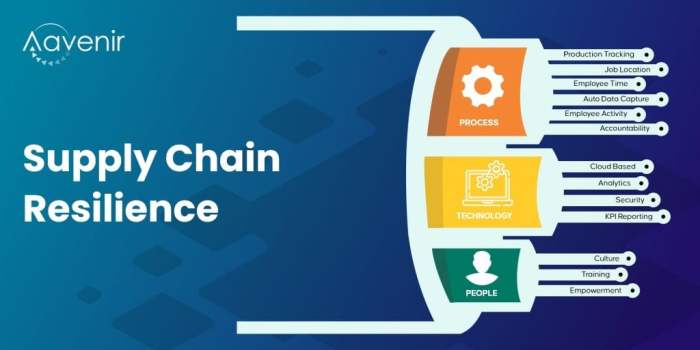 Strategies to create more resilient supply chain - TurningCloud ...